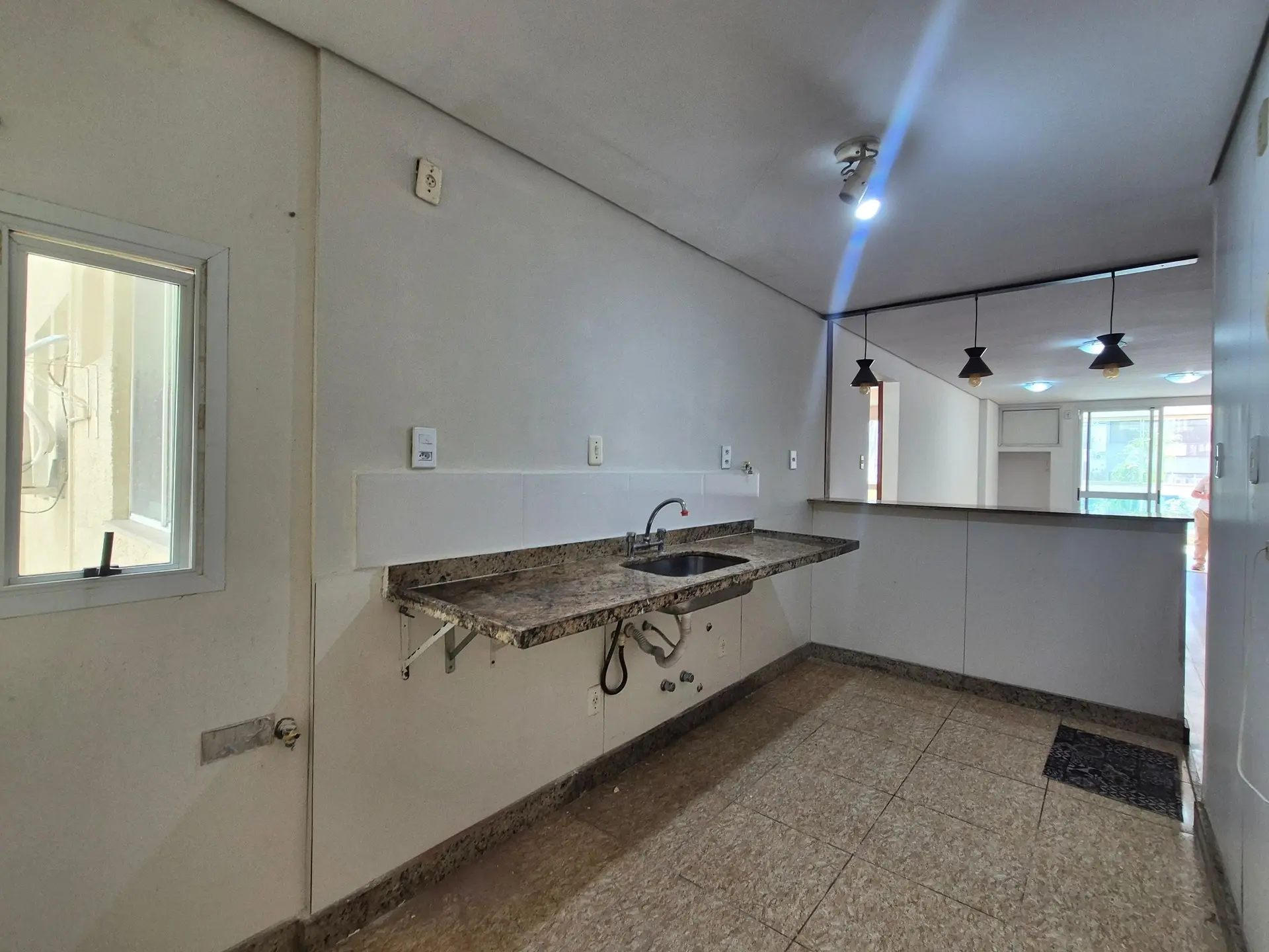 Apartamento com 2 quartos, suíte e varanda com animais — photo 23