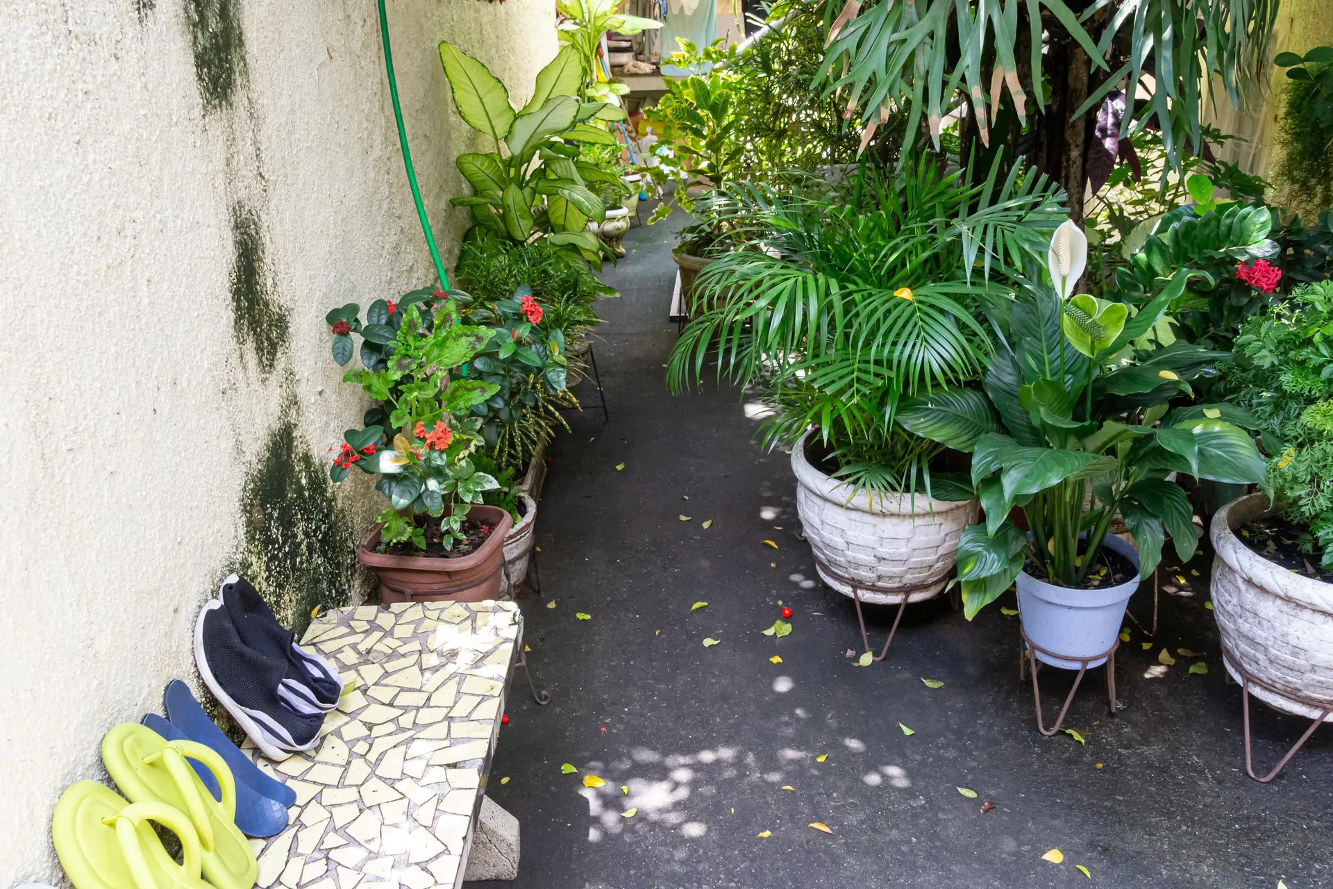Casa com 3 quartos, 3 banheiros e jardim privativo — photo 119