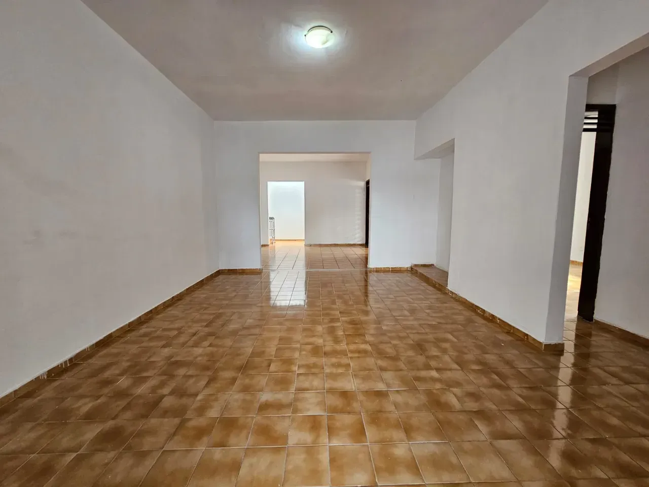 4 quartos e jardim: casa de 246 m² — photo 7