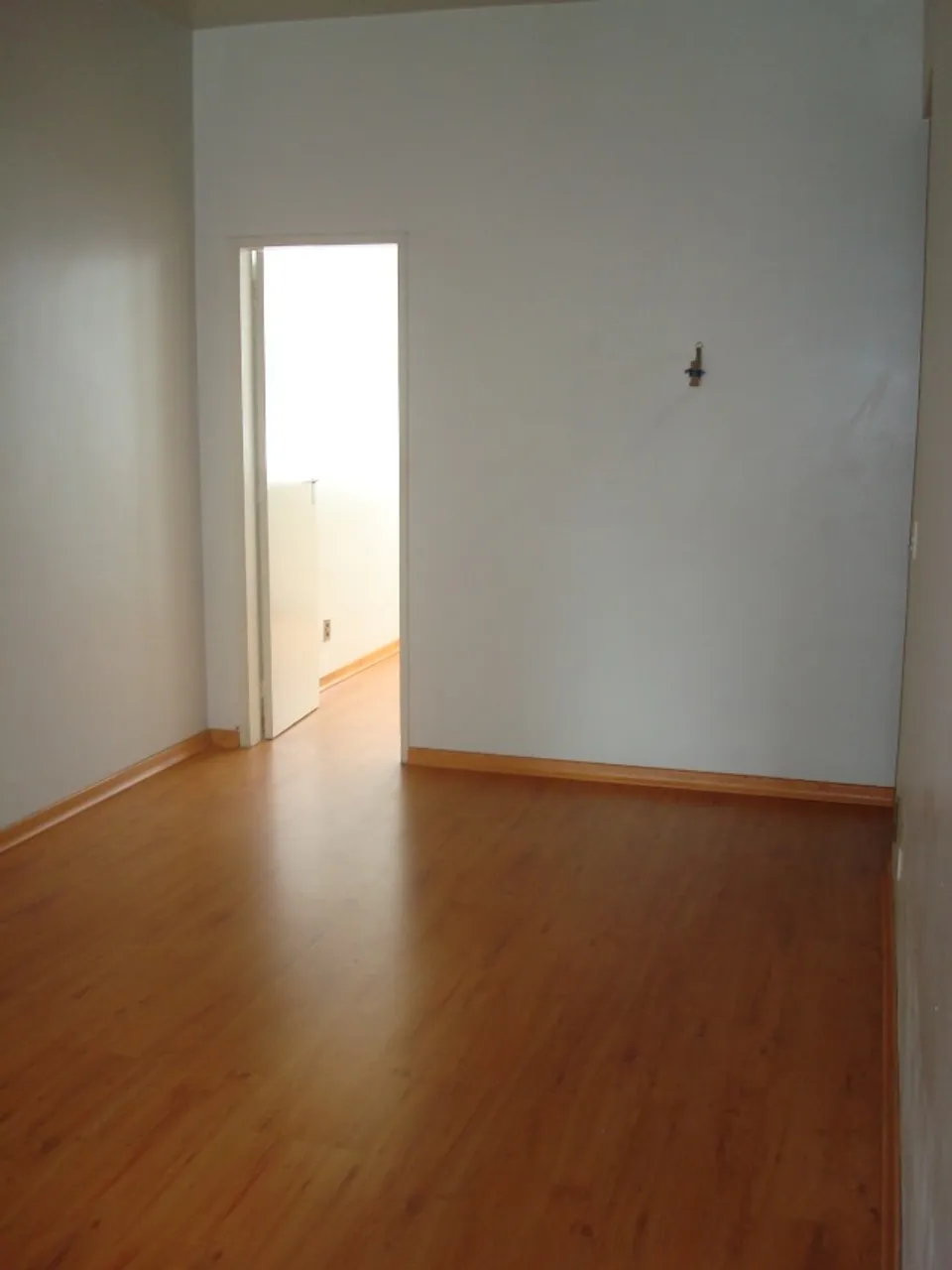 Apartamento de 2 quartos com banheira, Laranjeiras — photo 3