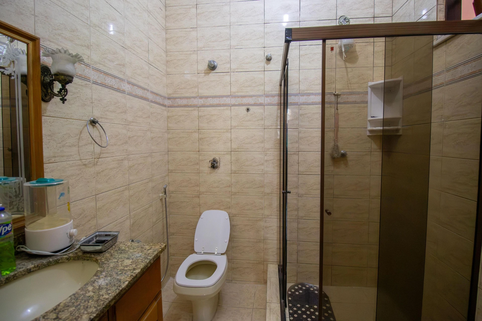 5-bedroom house with a garden in Rio de Janeiro — photo 35