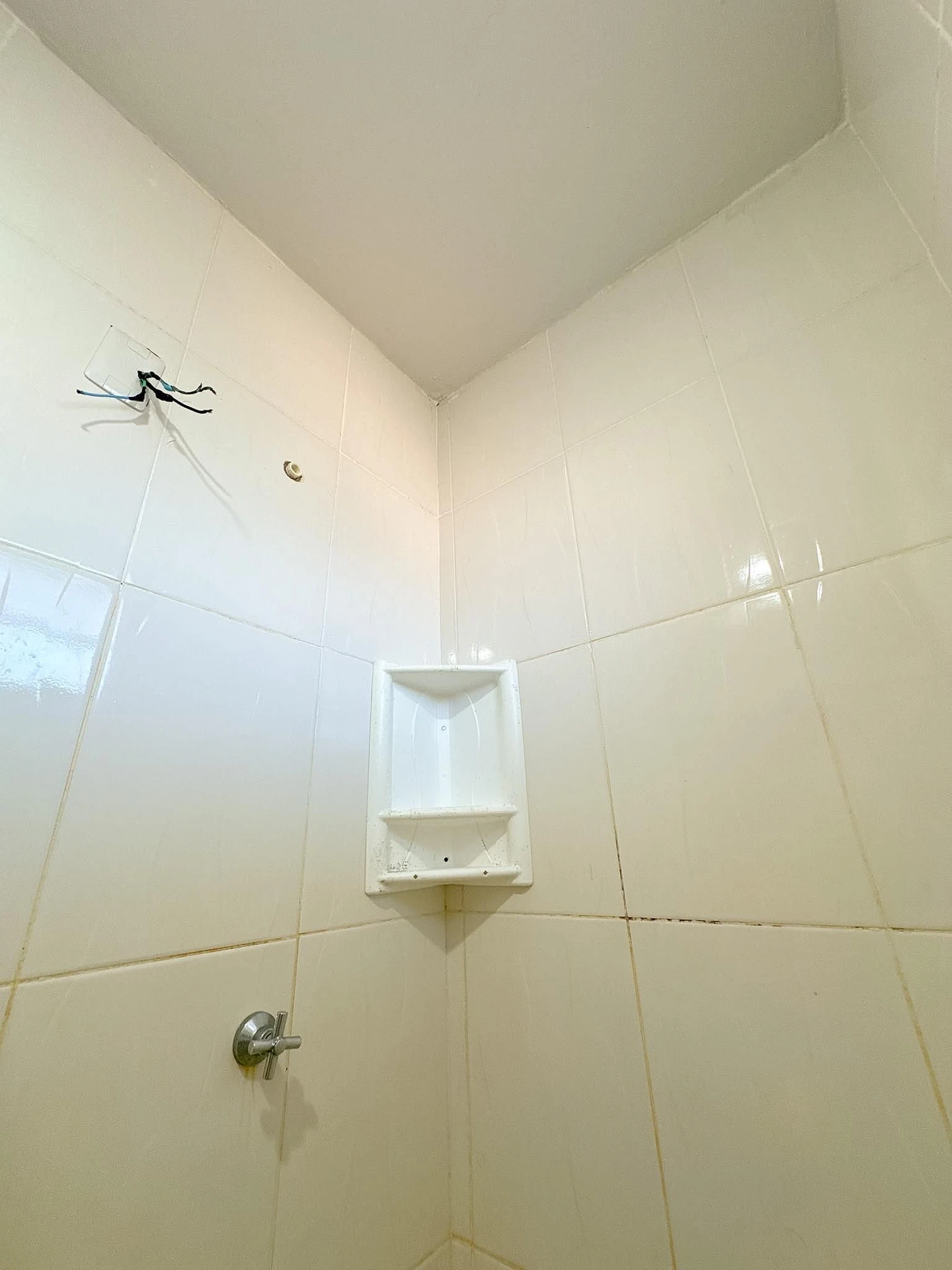 2-bedroom, 70 m² apartment in Florianópolis — photo 9