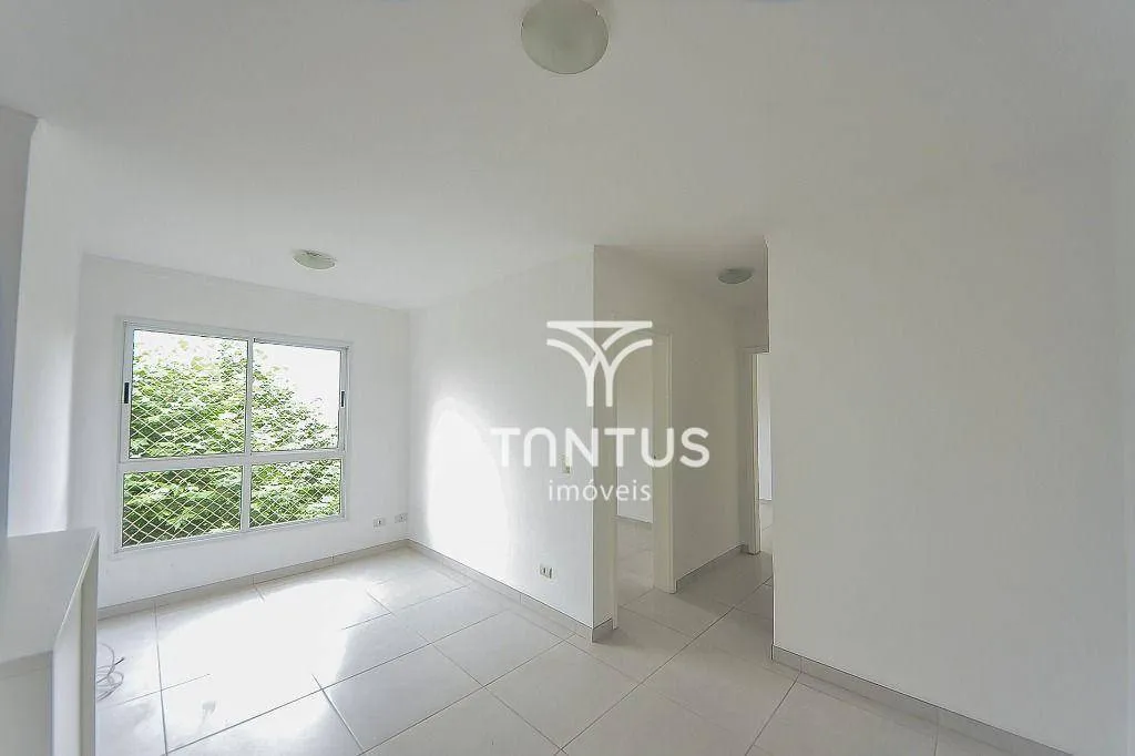 2-bedroom apartment with open-plan kitchen and gas stove
