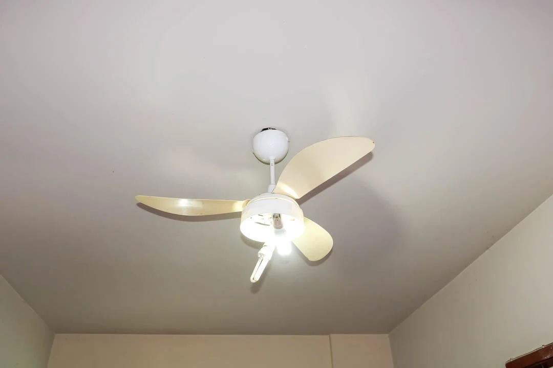 Apartamento para alugar com 2 quartos, 1 banheiro e vaga — photo 19