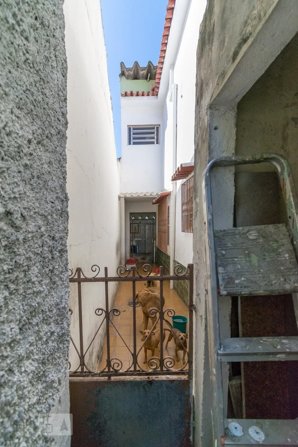 Casa para alugar com 6 quartos e 3 banheiros — photo 65