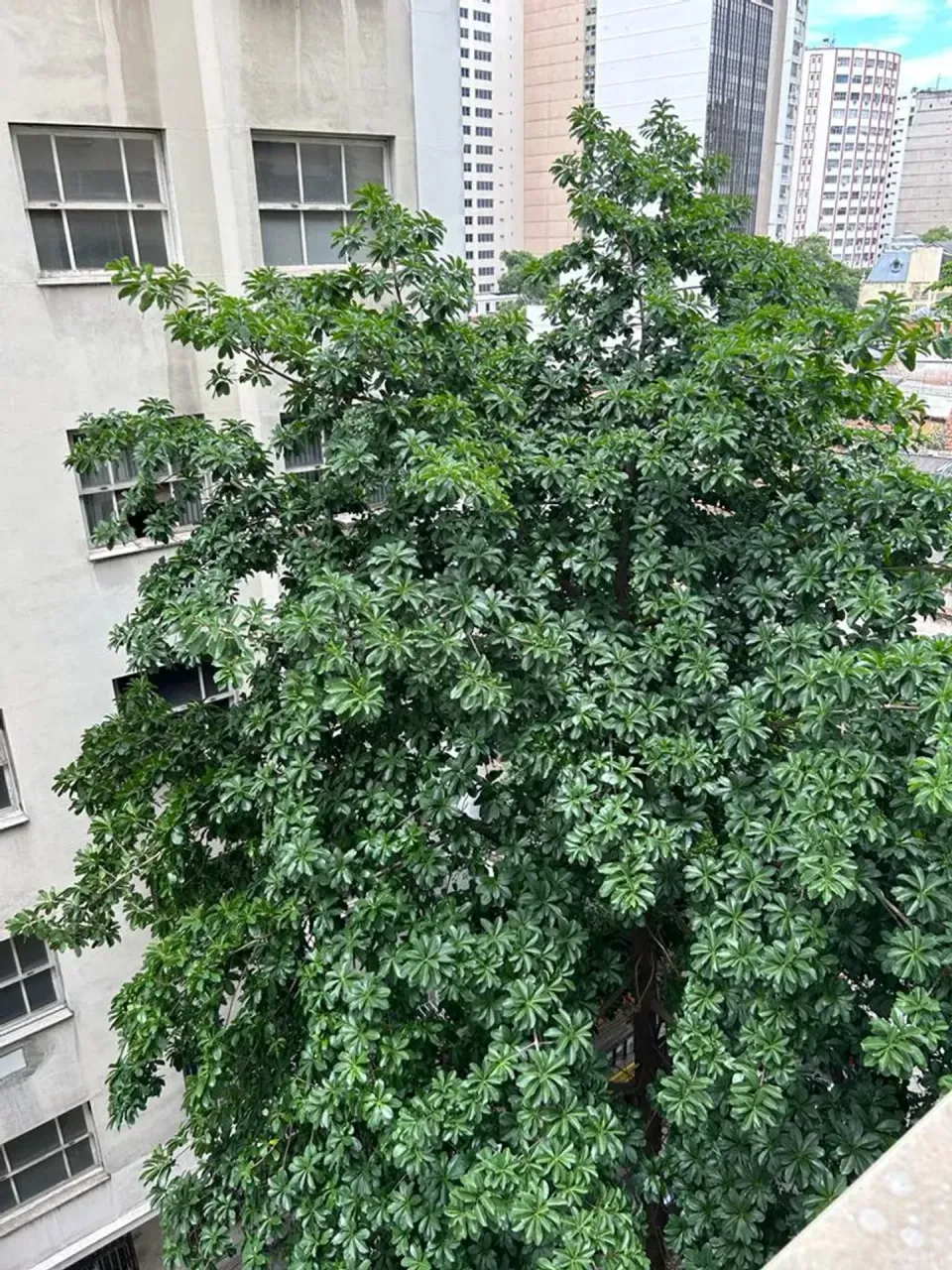 Apartamento de 46 m² com 1 quarto e sem vaga de garagem — photo 8
