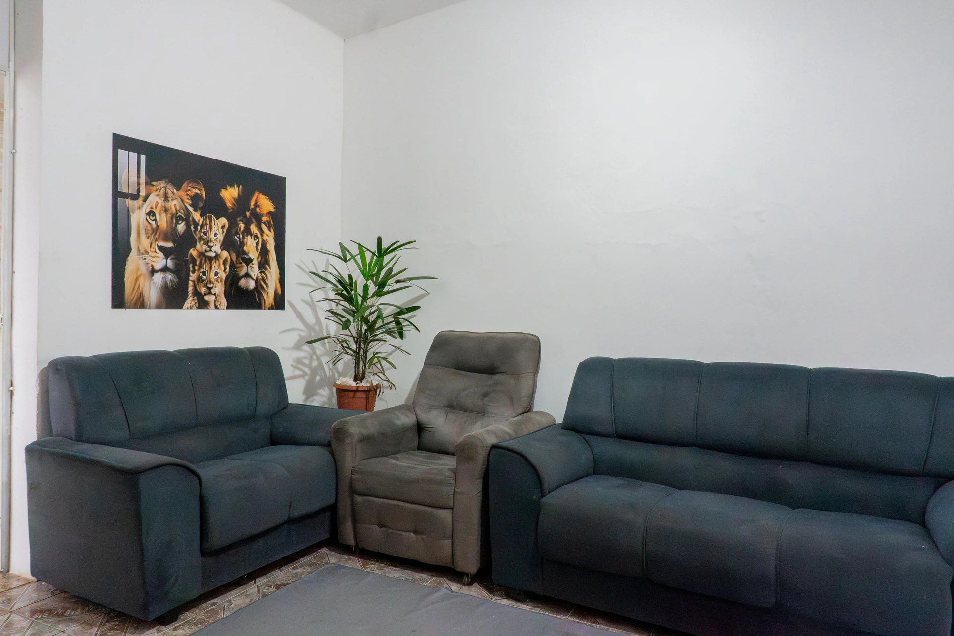 Furnished house, 120 m², with a garden