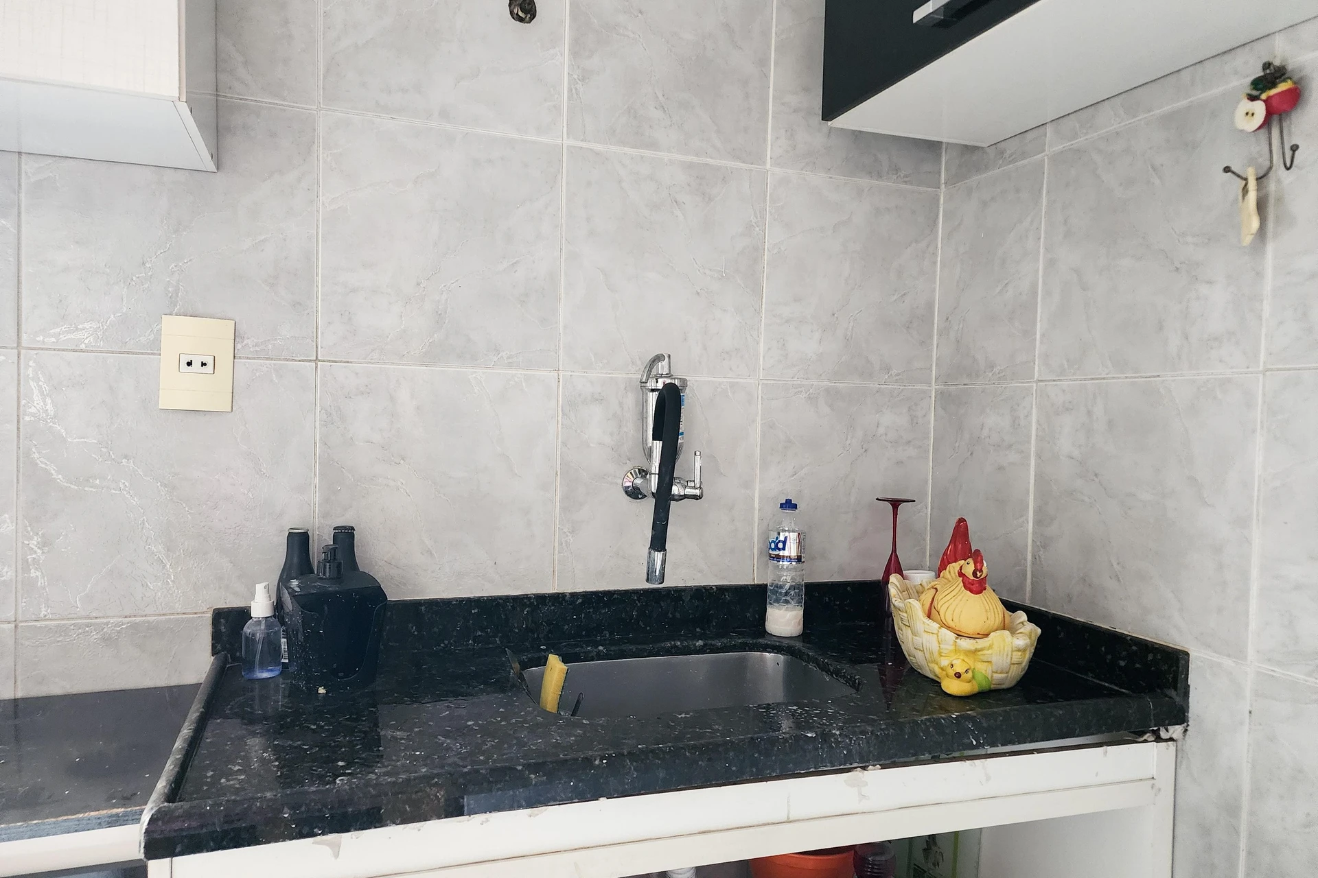 Apartamento para alugar com 2 quartos e aceita pets — photo 4