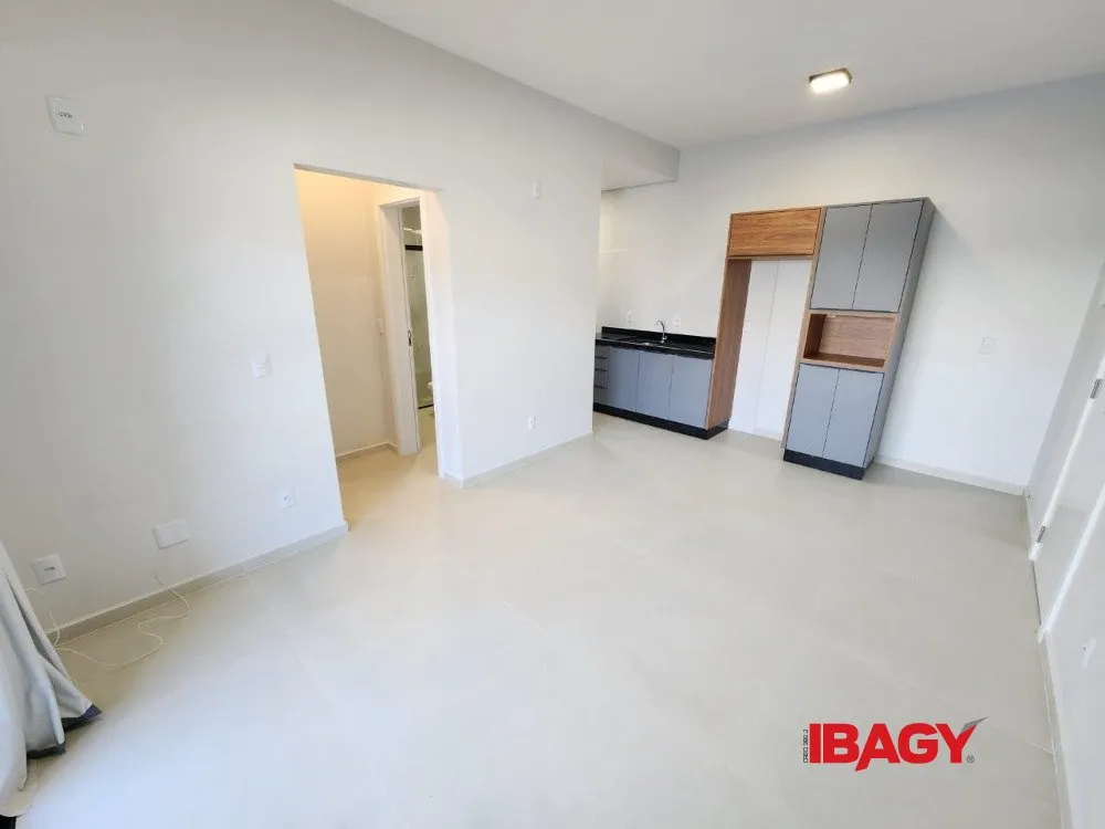 1-bedroom apartment with an open-plan kitchen — photo 5