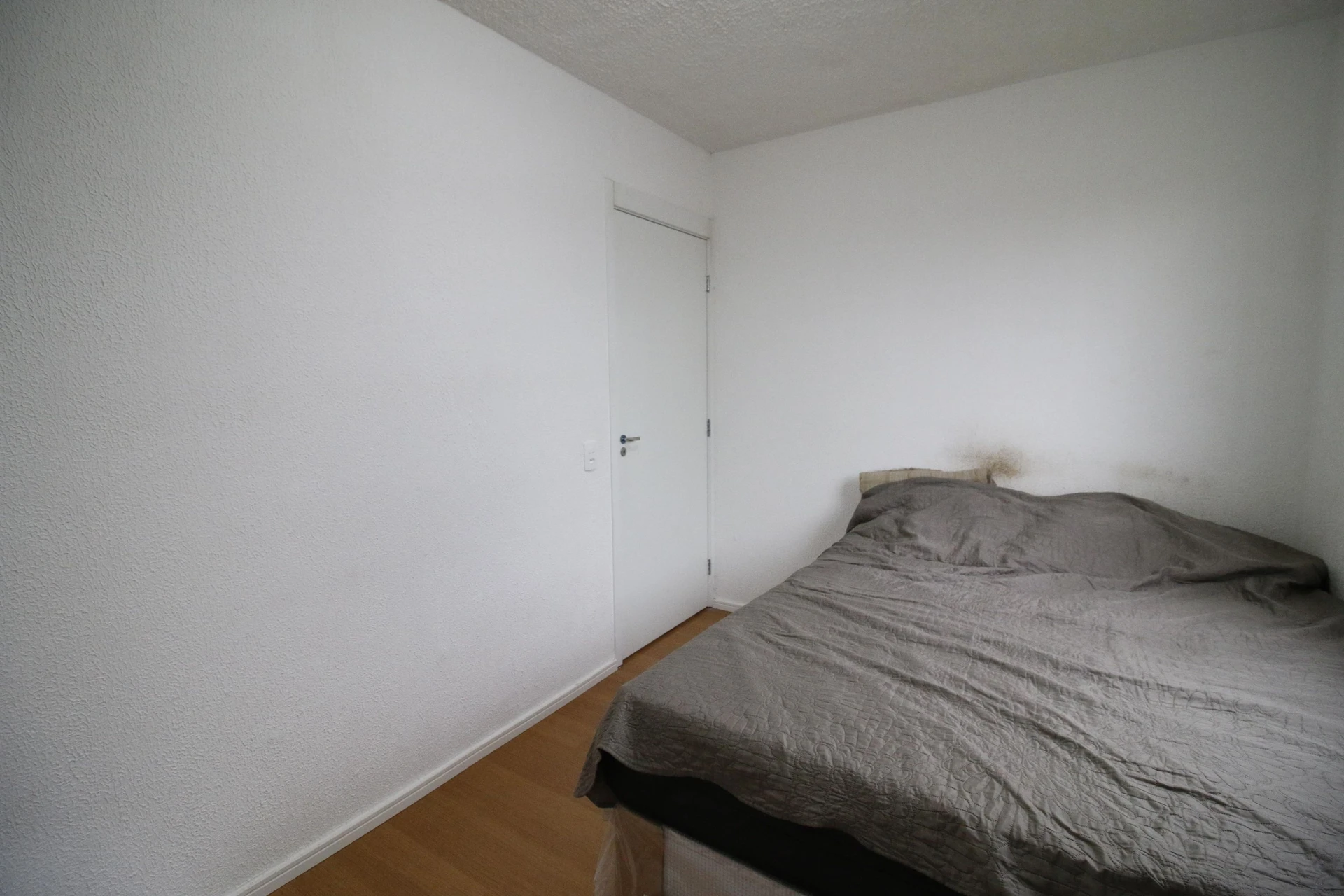 40 m² apartment with a washing machine and a home office — photo 16