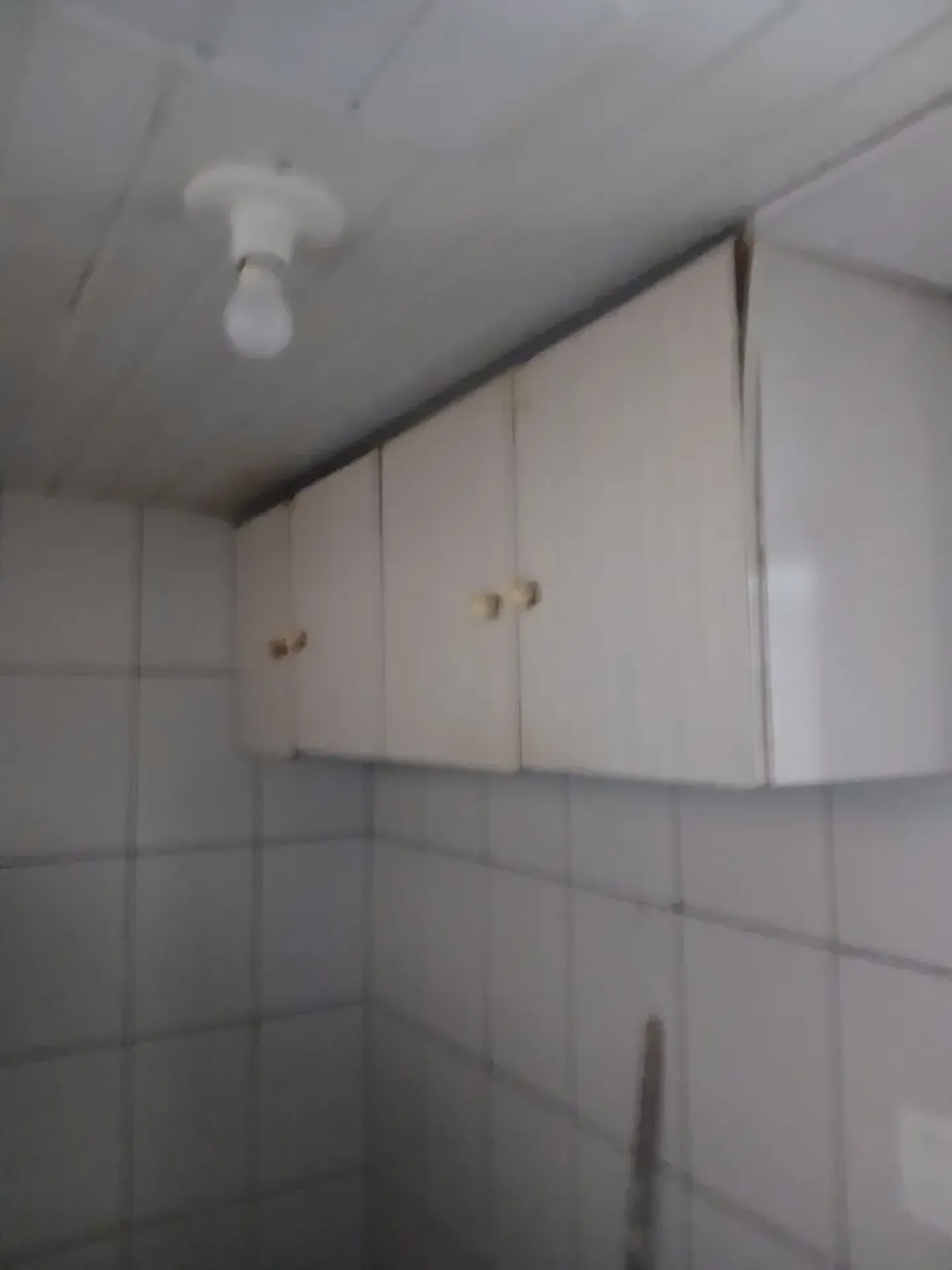 Будинок на одному поверсі 40 м²: 1 спальня і 1 ванна — photo 2