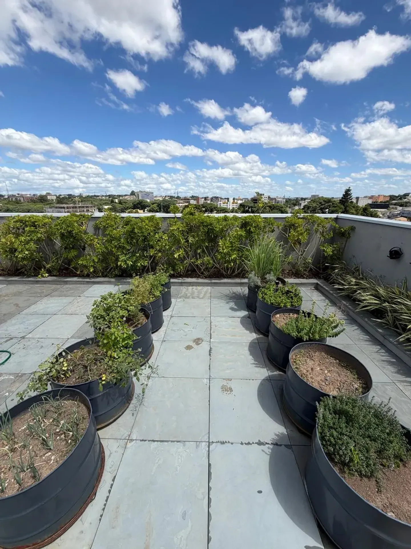 Furnished 1-bedroom apartment with balcony and barbecue — photo 39