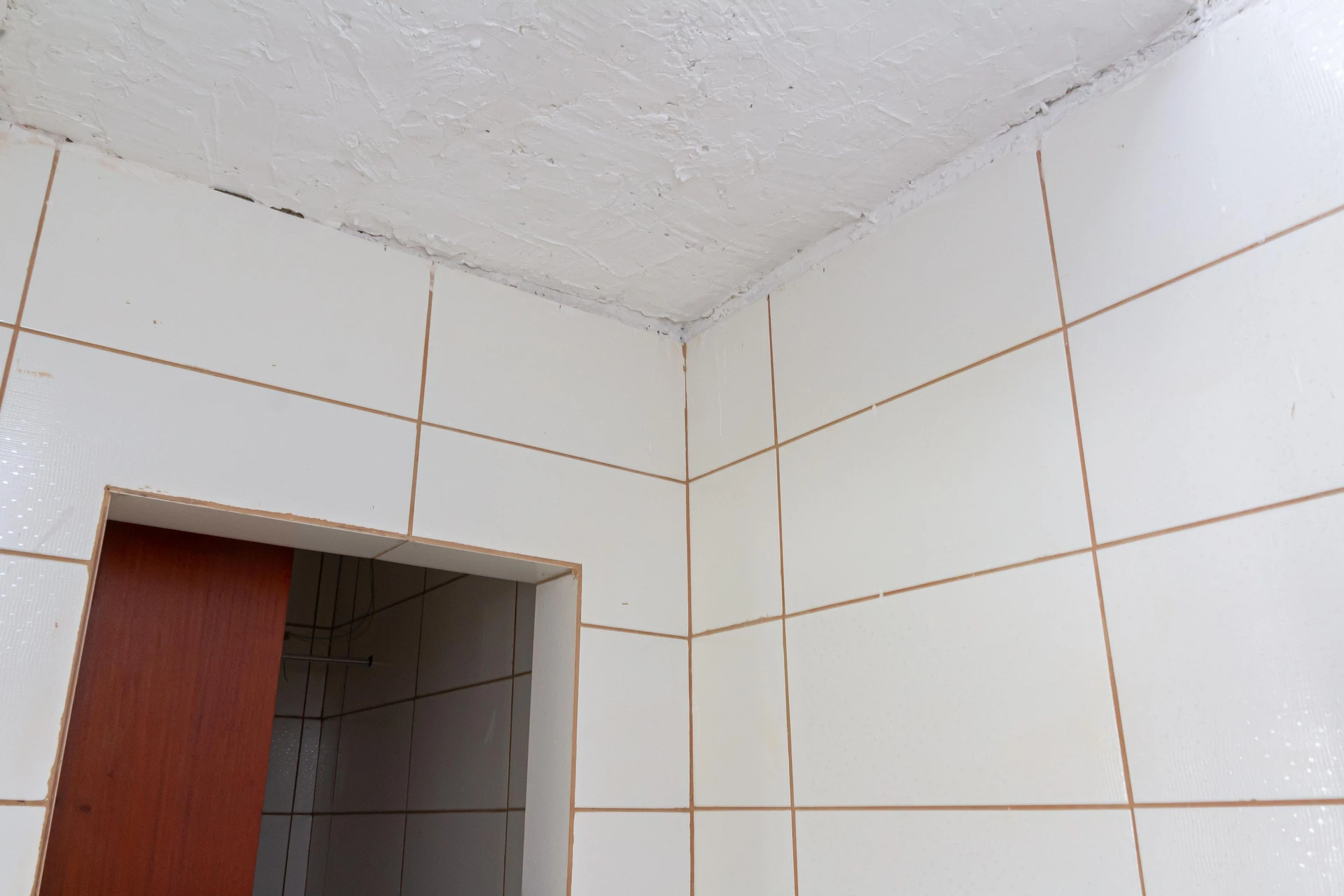 Unfurnished studio rental with private garden and 1 suite — photo 35