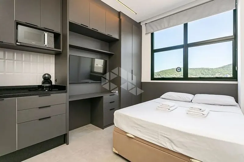 Furnished 21 m² apartment with 1 bedroom