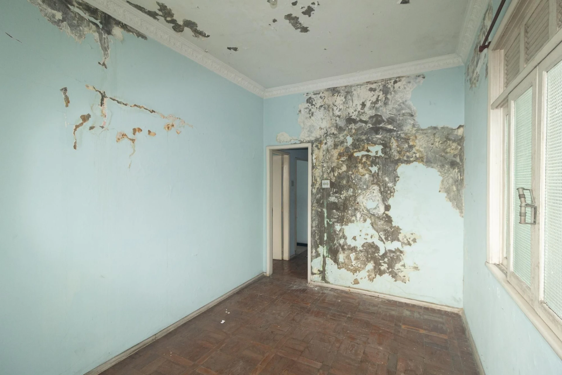 6 quartos e jardim: casa de 263 m² — photo 21