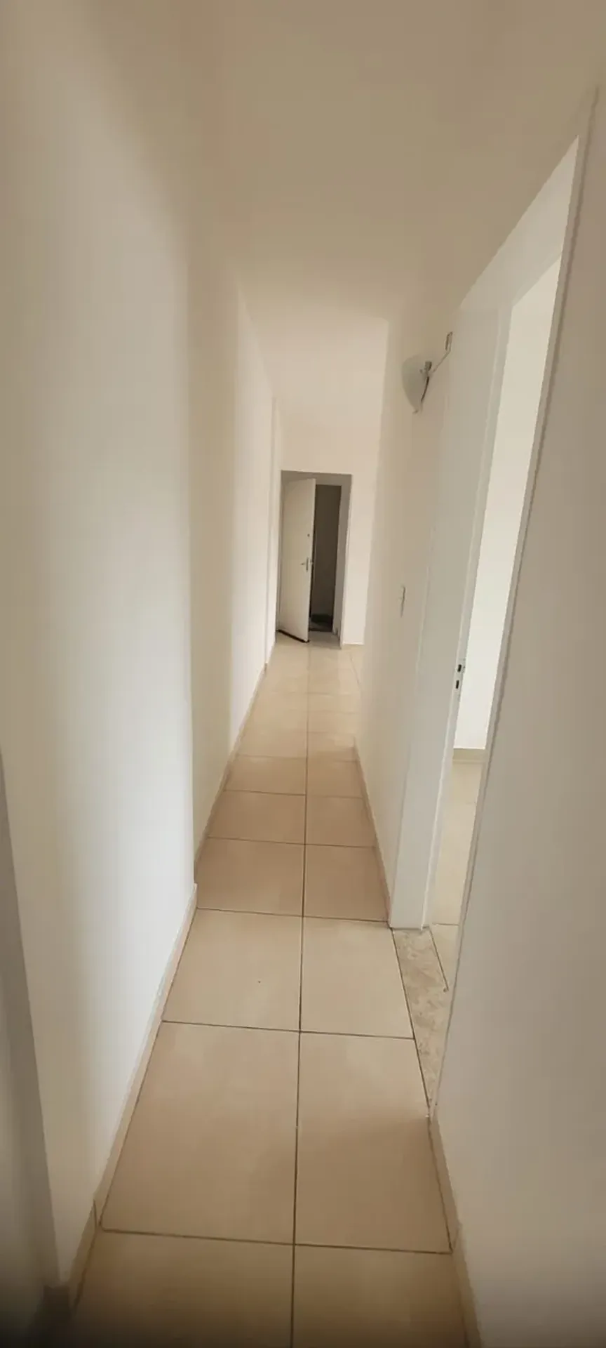 2-bedroom apartment in a building with a gym — photo 8