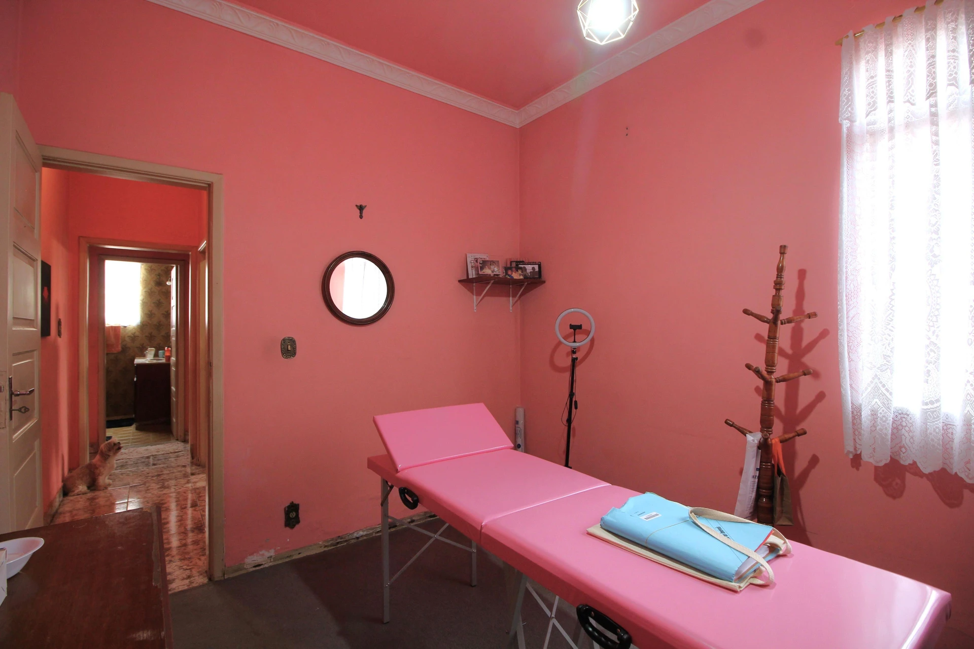 Furnished 3-bedroom house with a private garden — photo 3