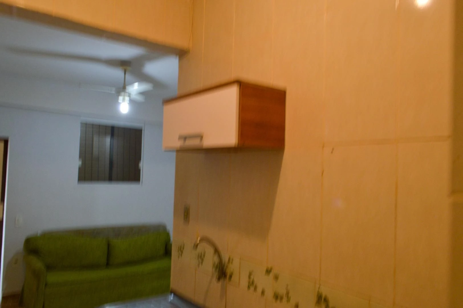 1-bedroom apartment with 1 bathroom and a small kitchenette — photo 12
