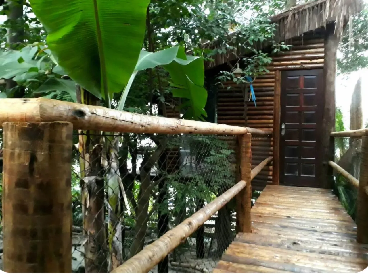 Apartment, 40 m², with wood or laminate floors — photo 4