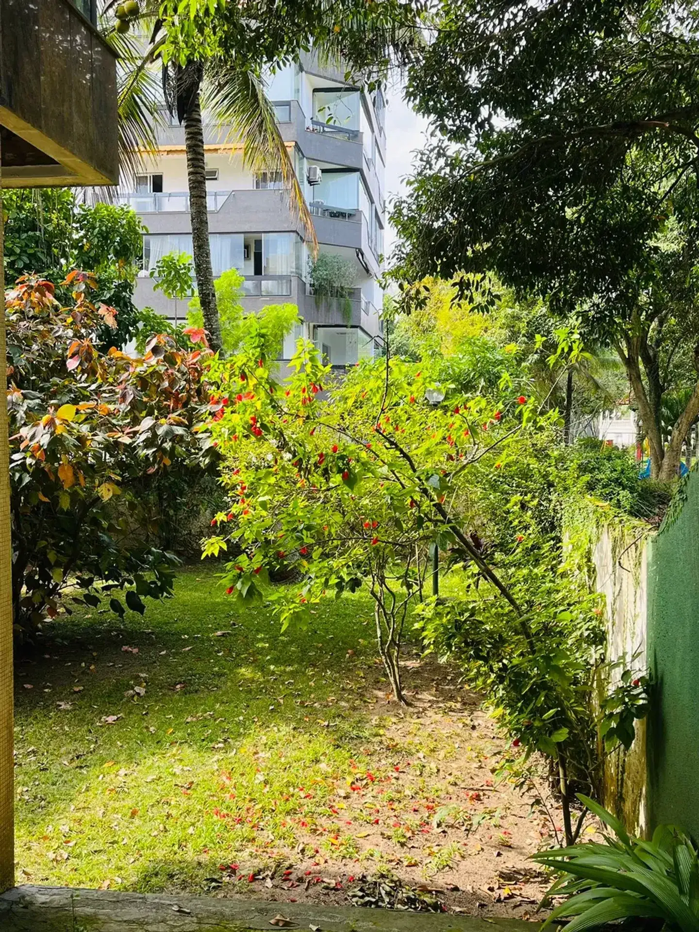 Apartamento com varanda envidraçada, Barra da Tijuca — photo 14