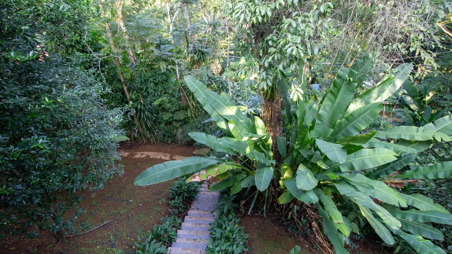 Casa com 4 quartos e 4 banheiros, com 3 vagas — photo 13