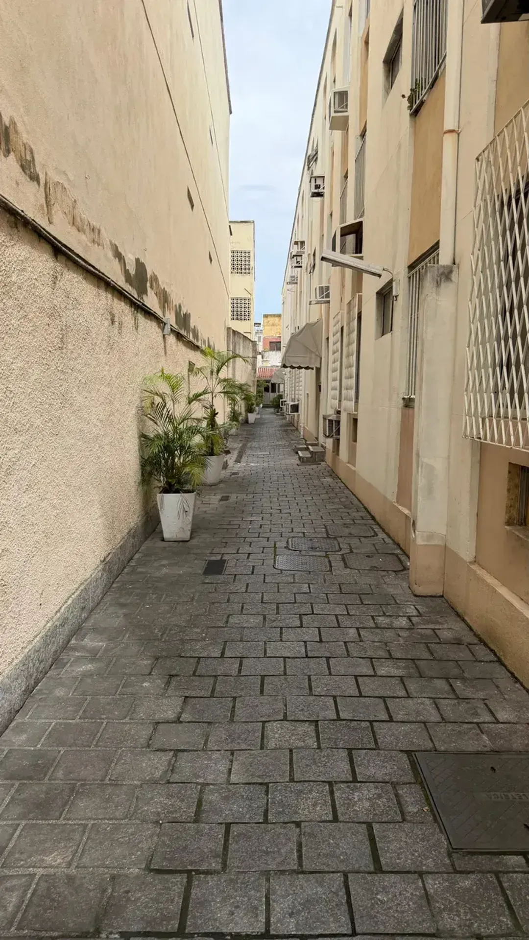 Apartamento para locação com 2 quartos e 1 vaga — photo 21