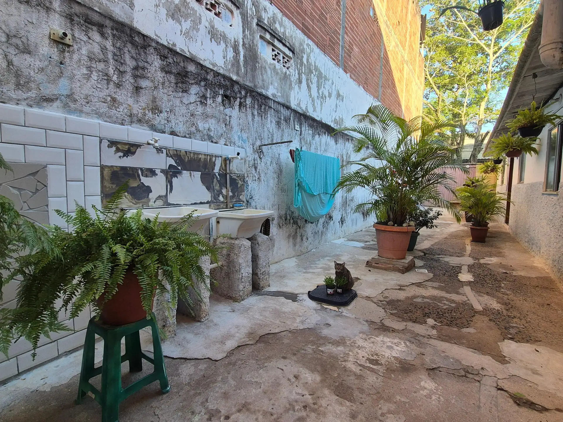 Studio with 1 bedroom and en-suite bathroom, no parking — photo 5