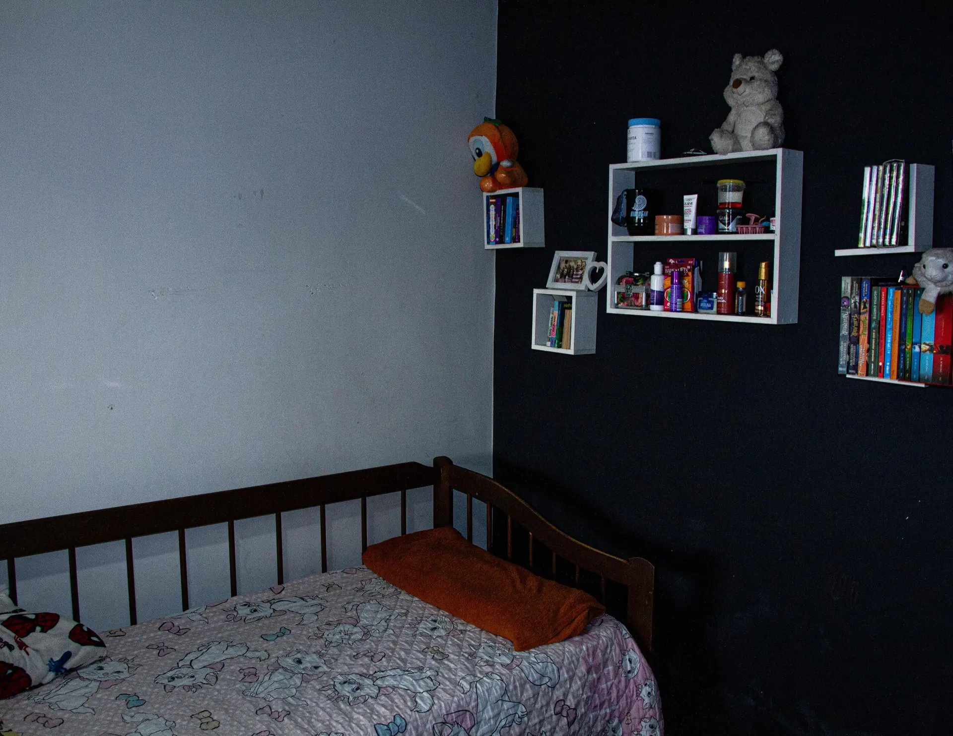 Casa de 3 quartos com espaço de home office, Campo Grande — photo 30