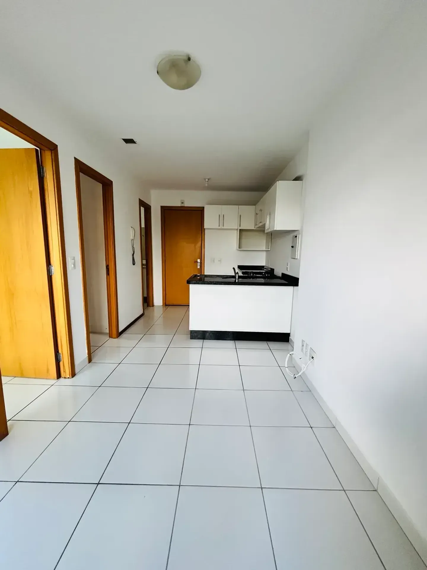 1-bedroom 1-bath apartment with a balcony — photo 31