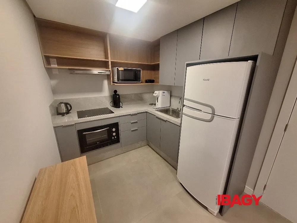 Furnished 40 m² studio with an open-plan kitchen