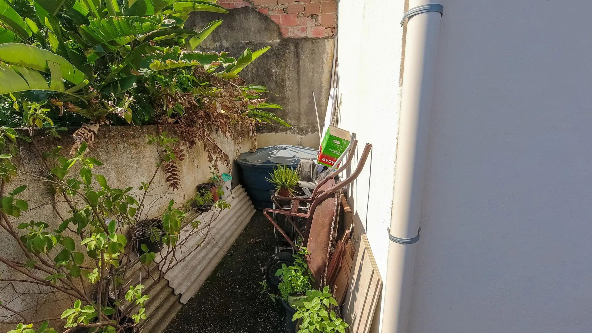Casa com 1 quarto e jardim privativo — photo 23