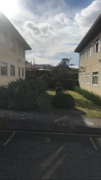 Apartamento de 3 quartos e 57 m² — photo 8