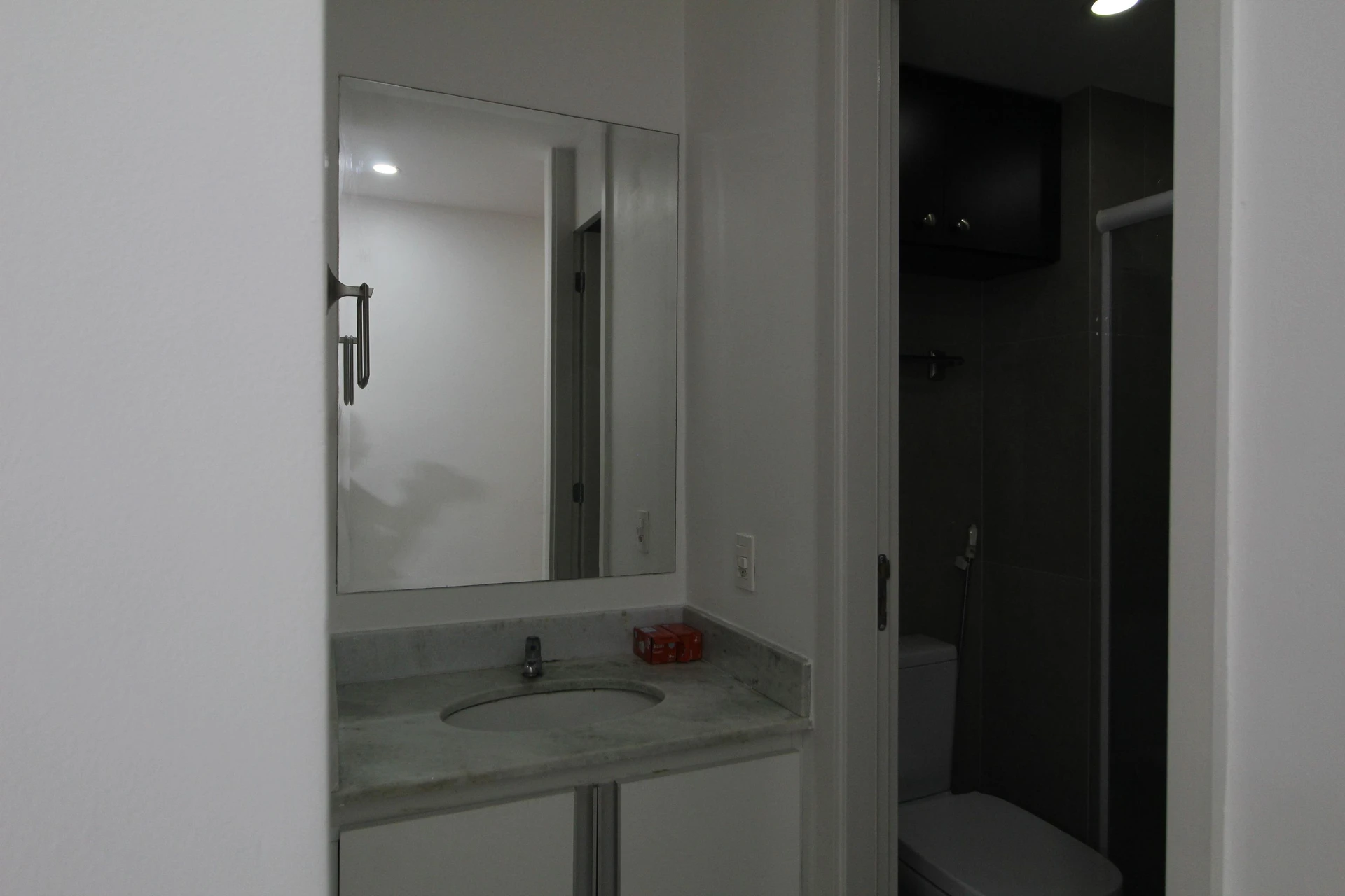 2-bedroom apartment with a home office in Rio de Janeiro — photo 8