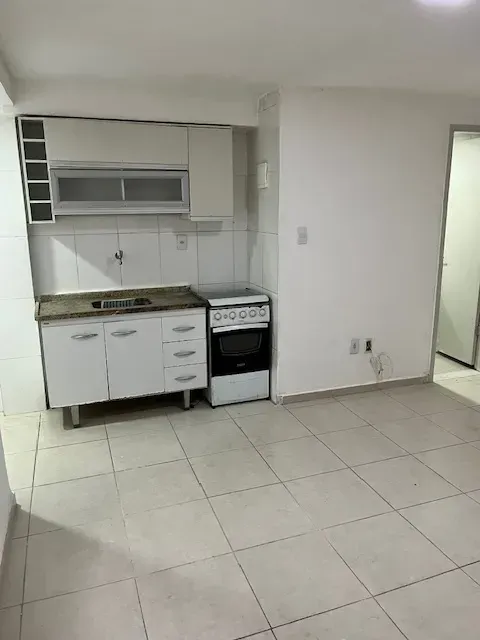 1-bedroom apartment with gas kitchenette and 1 bathroom — photo 3