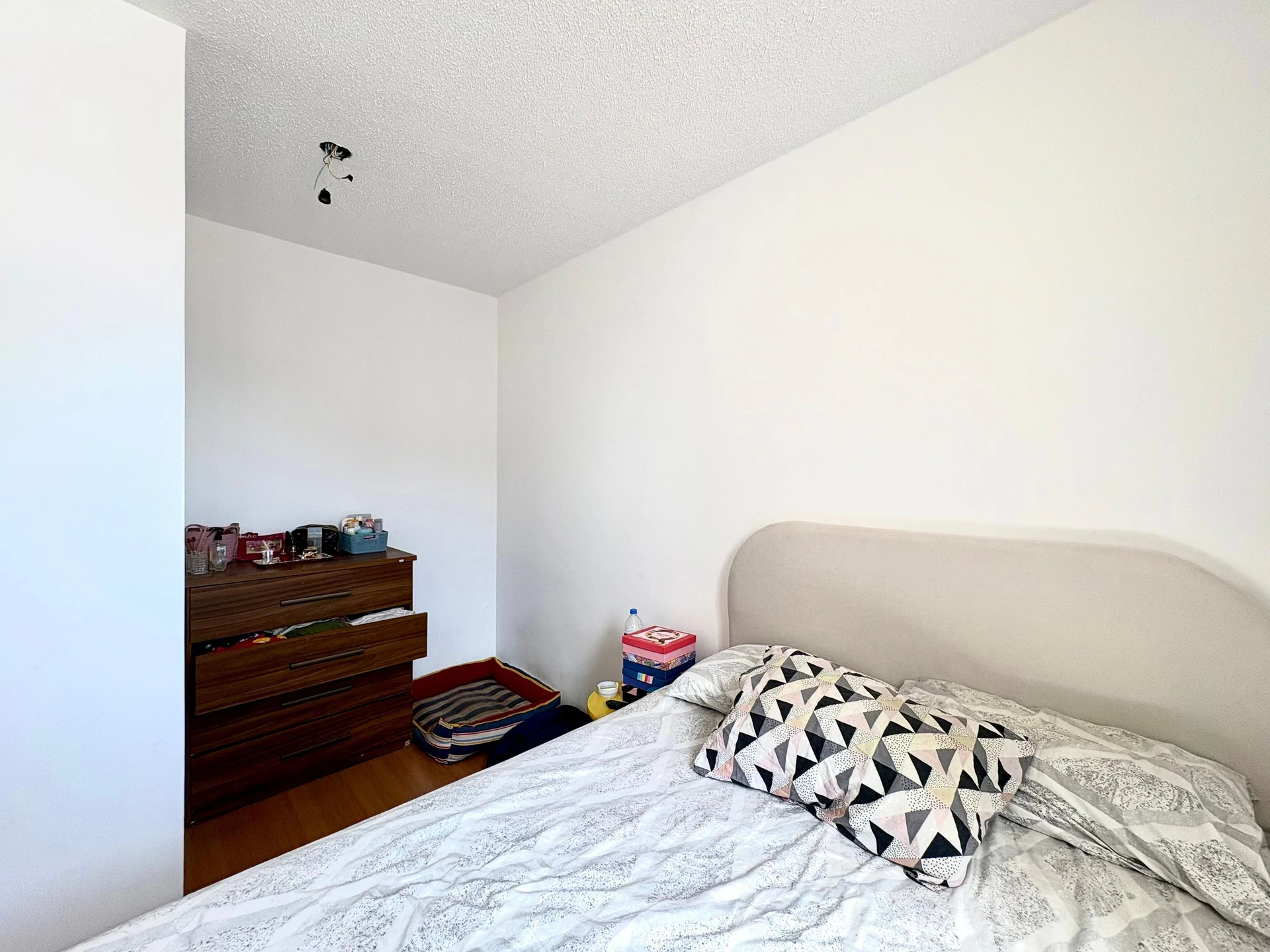 2-bedroom apartment in a building with a gym — photo 6