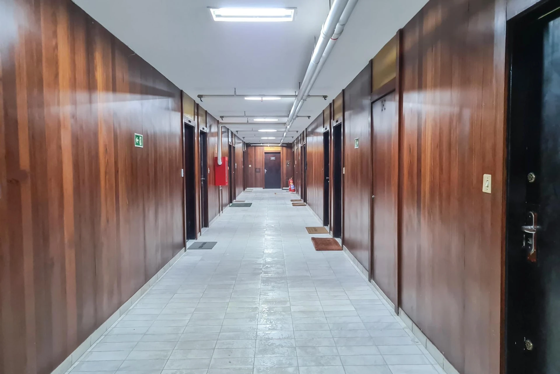 Apartamento mobiliado de 1 quarto com animais permitidos — photo 28