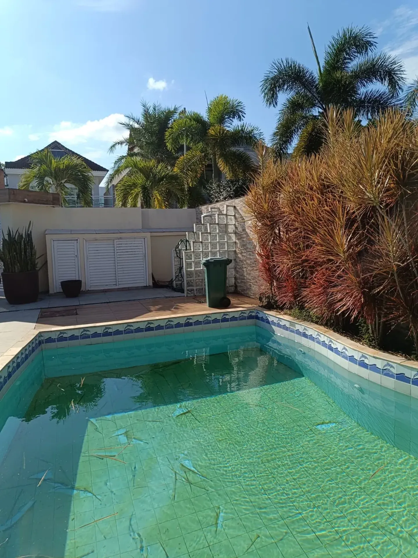 House with 4 bedrooms and 5 bathrooms — photo 5