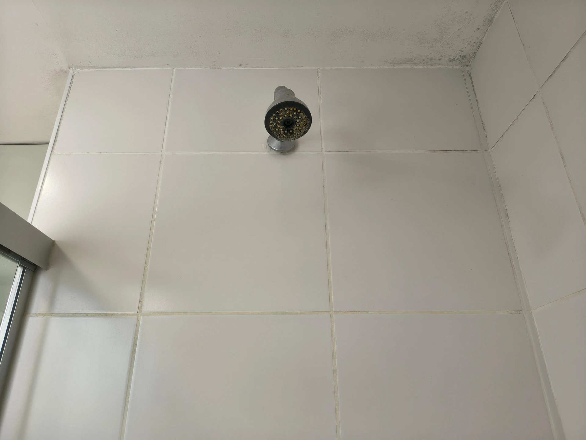 4 quartos e varanda envidraçada: apartamento de 140 m² — photo 47