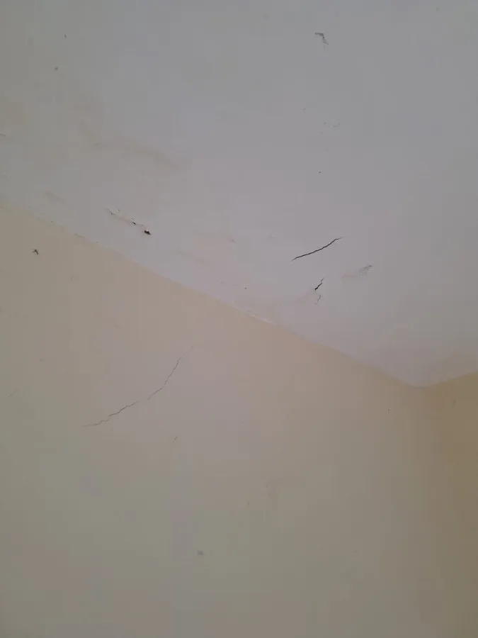 Apartamento para locação com 2 quartos e 1 vaga — photo 14