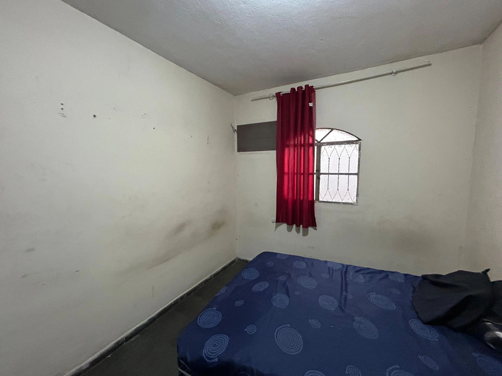 Студия 30 м², Рио-де-Жанейро — photo 12