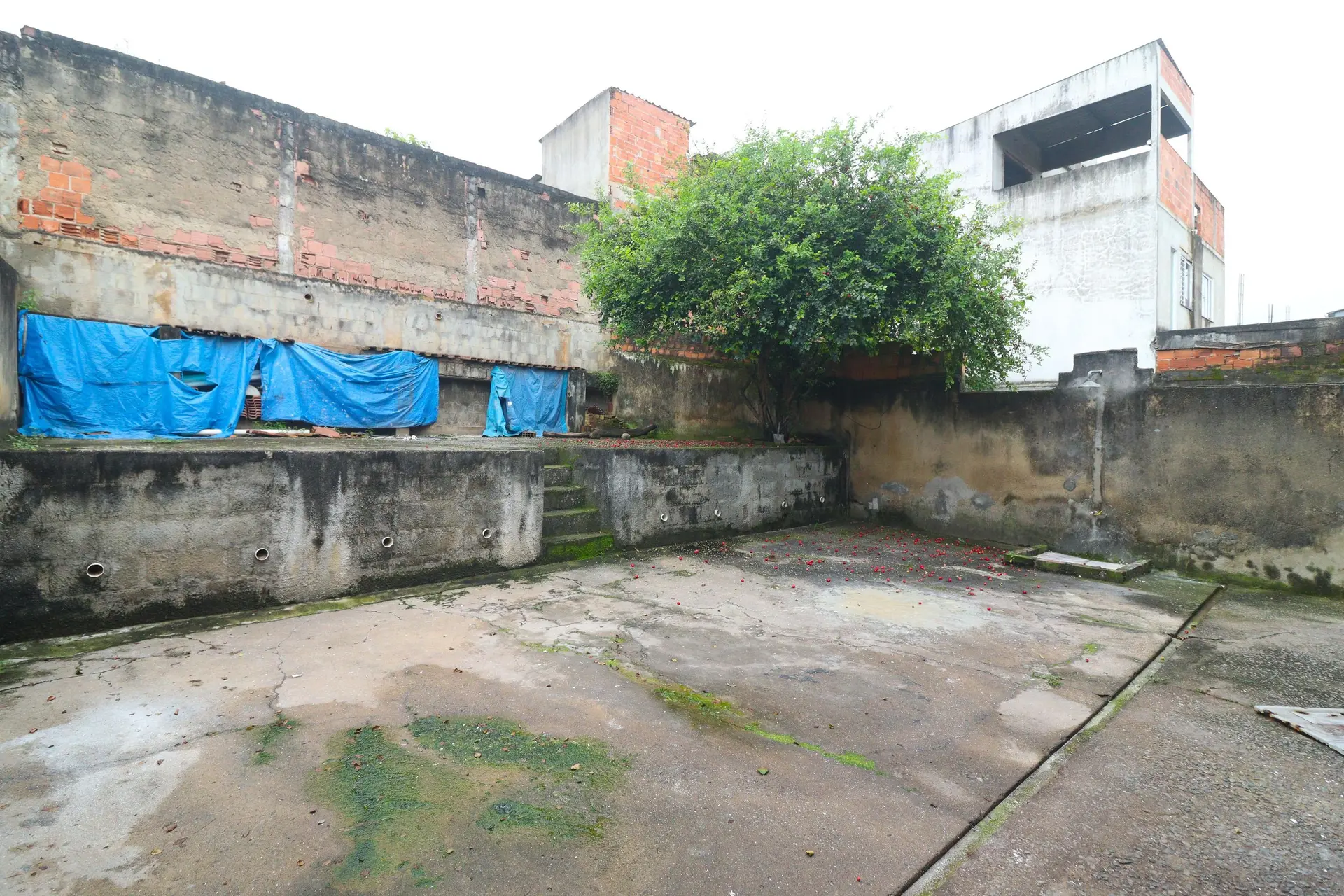 3-bedroom house with a garden in Rio de Janeiro — photo 6
