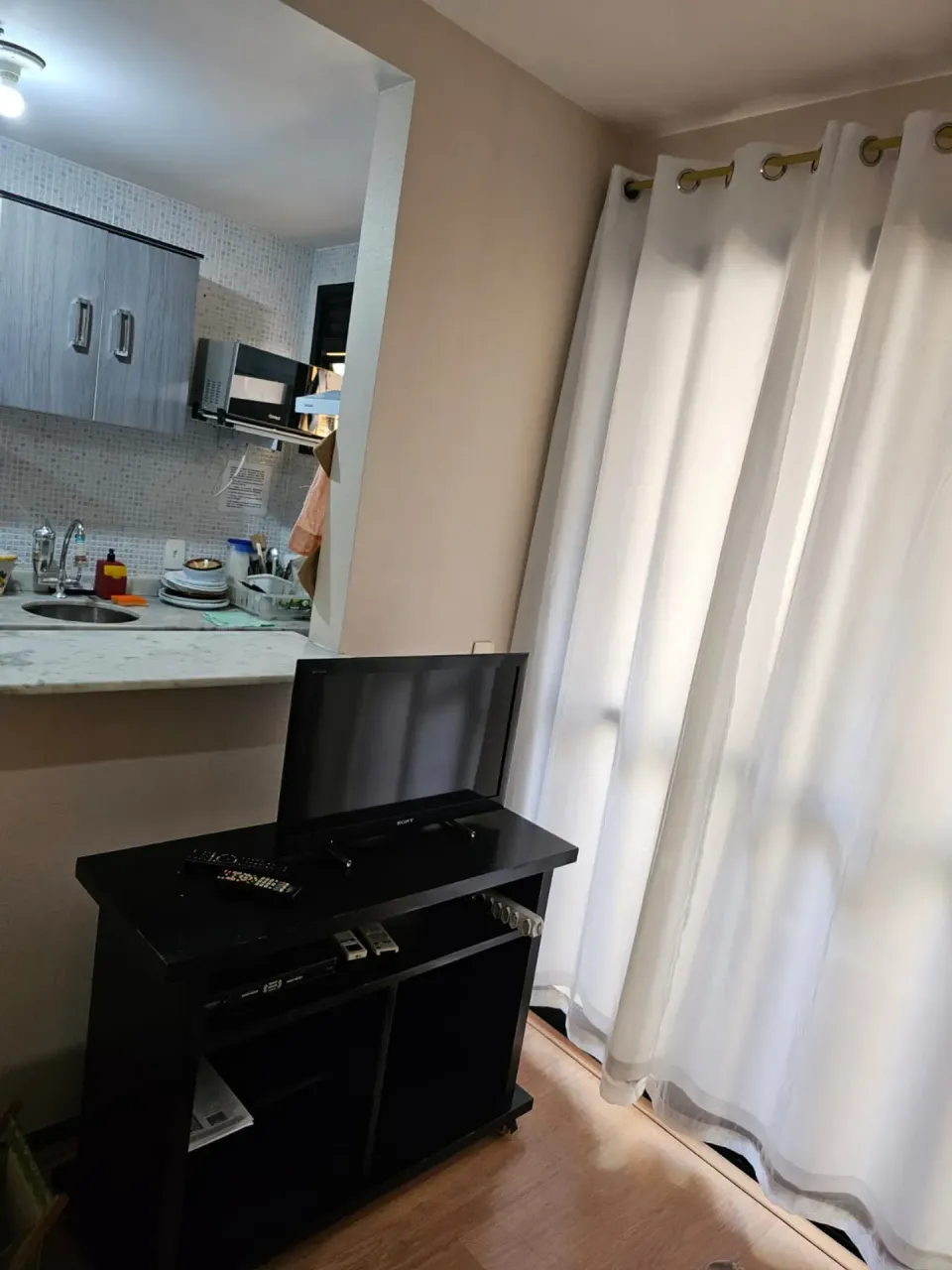 One-bedroom apartment with wood or laminate floors — photo 2