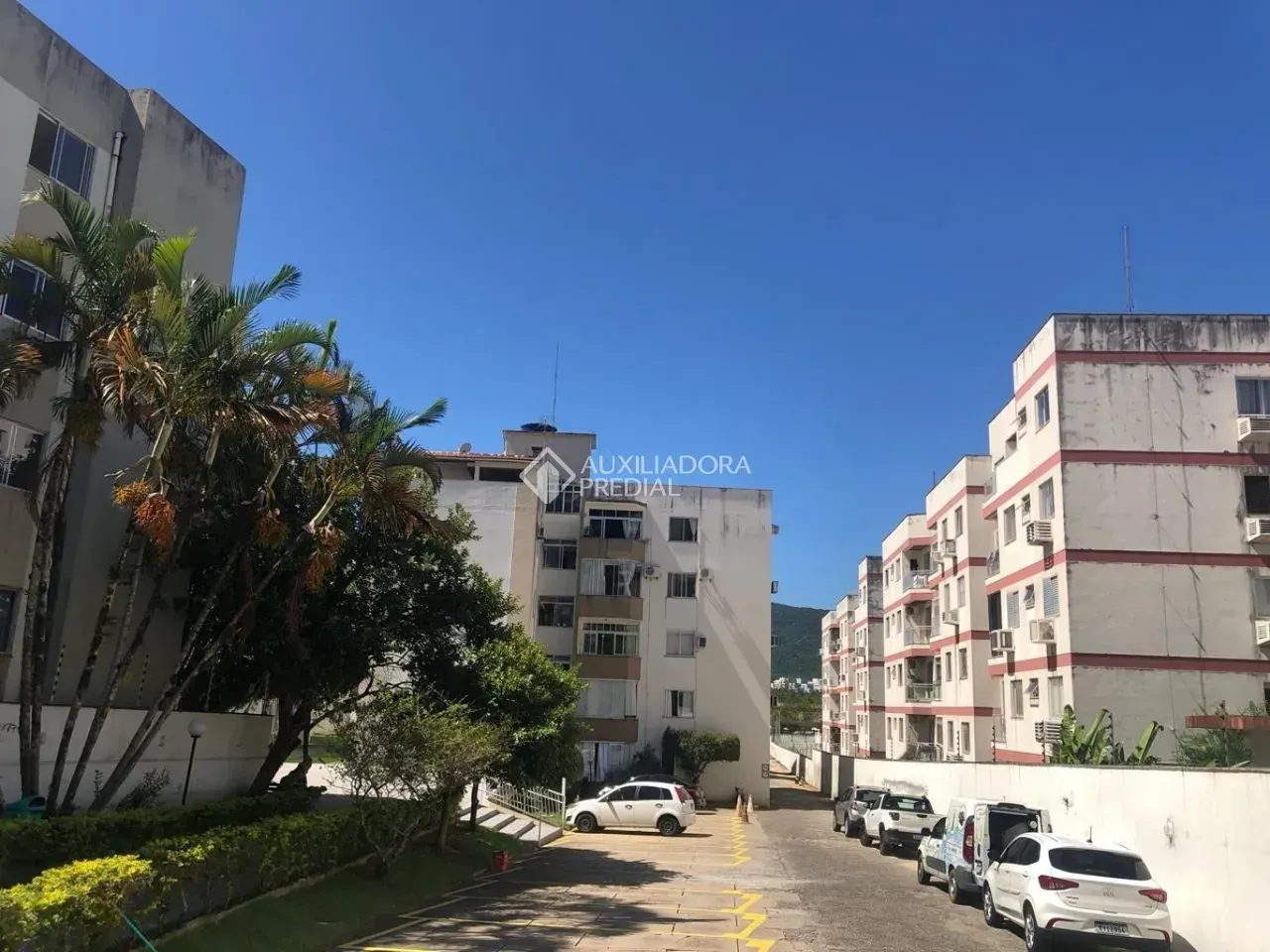 Мебльована квартира 250 м² з 4 спальнями і терасою — photo 15