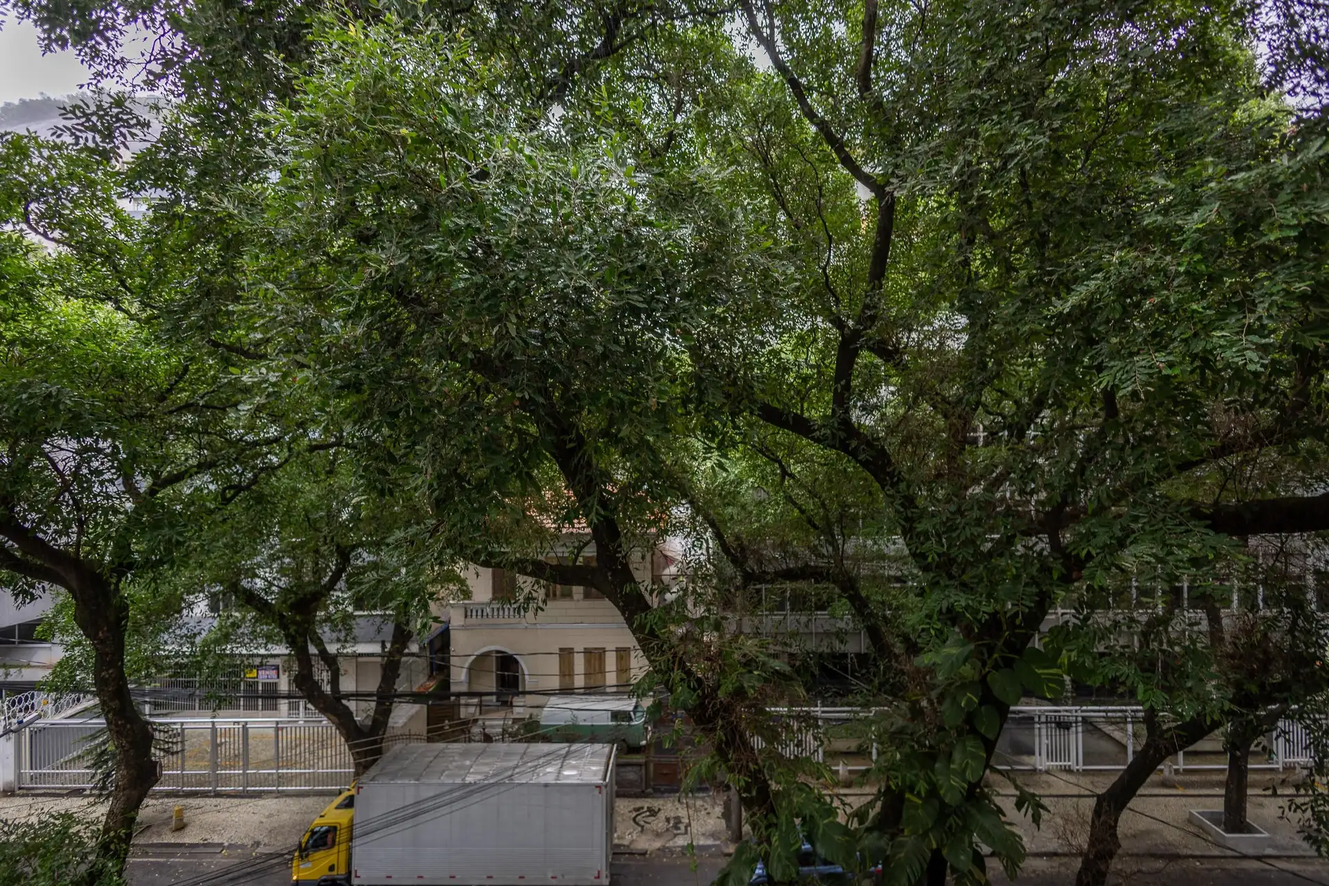 3-bedroom apartment with a park view — photo 38
