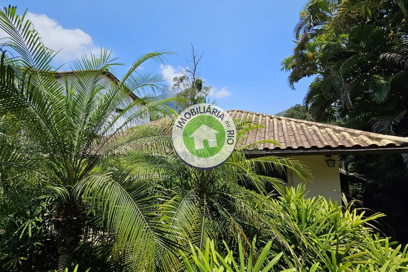 Casa com 5 quartos e fogão a gás — photo 11