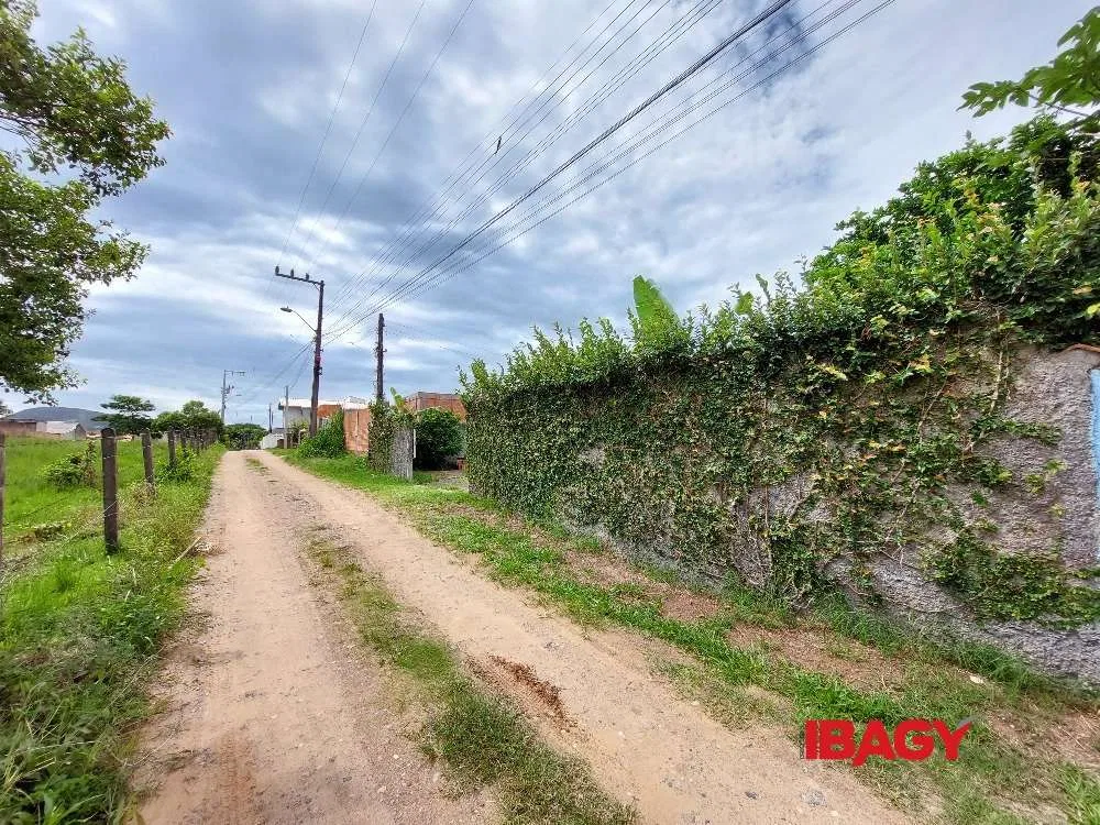3-bedroom house with a washing machine in Florianópolis — photo 21
