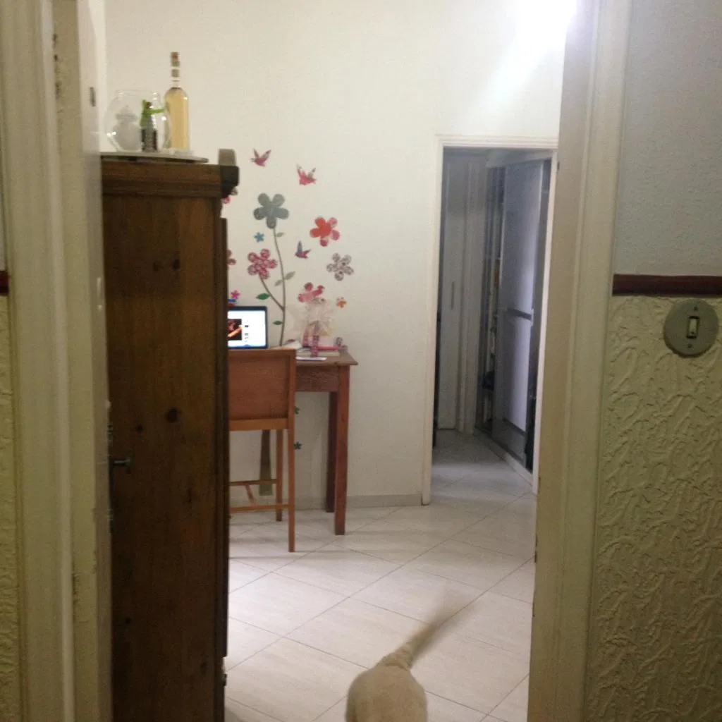 40 m² apartment with a dryer and a home office — photo 9