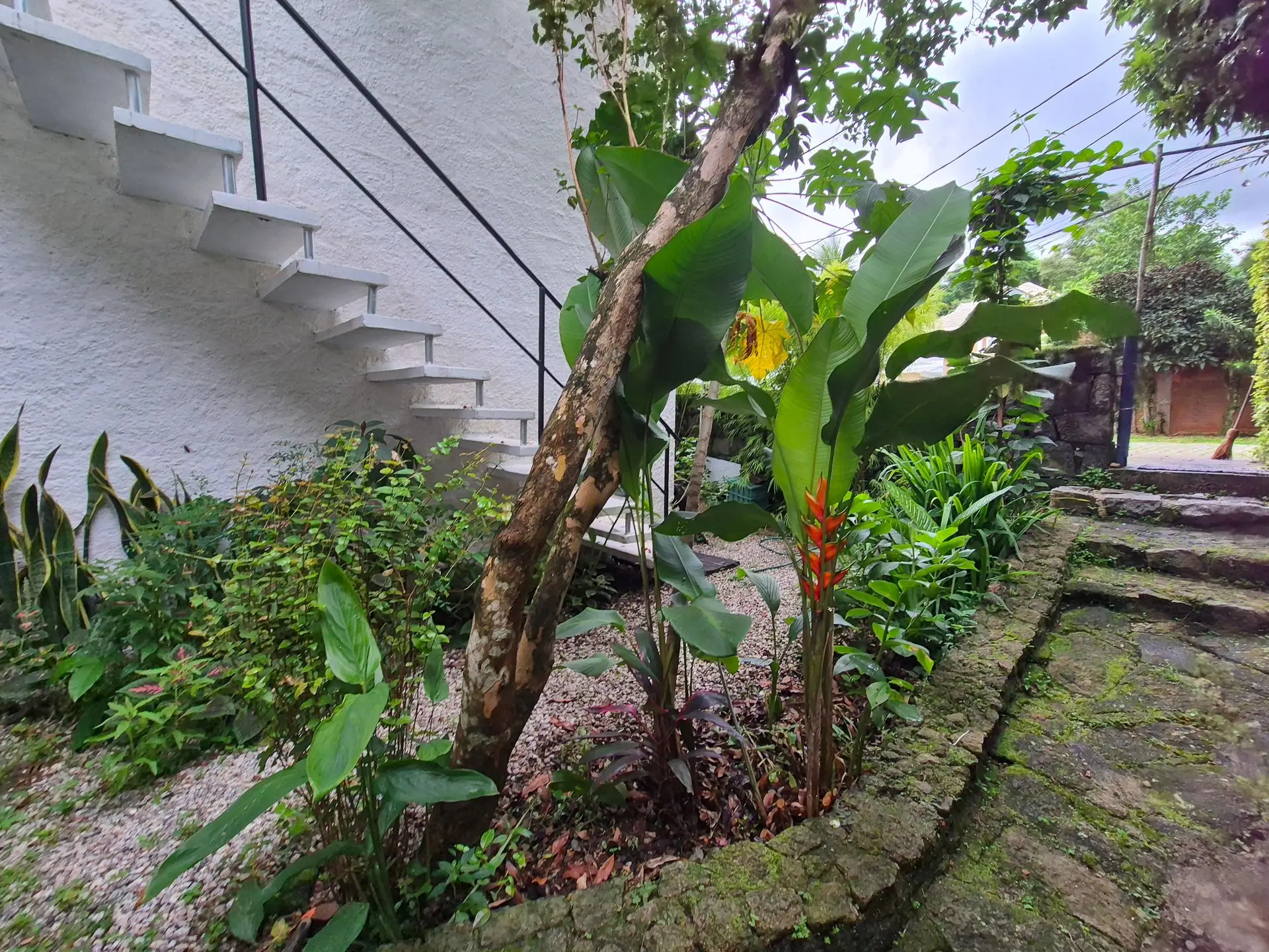 Condominium house to rent with 3 bedrooms and a suite — photo 57