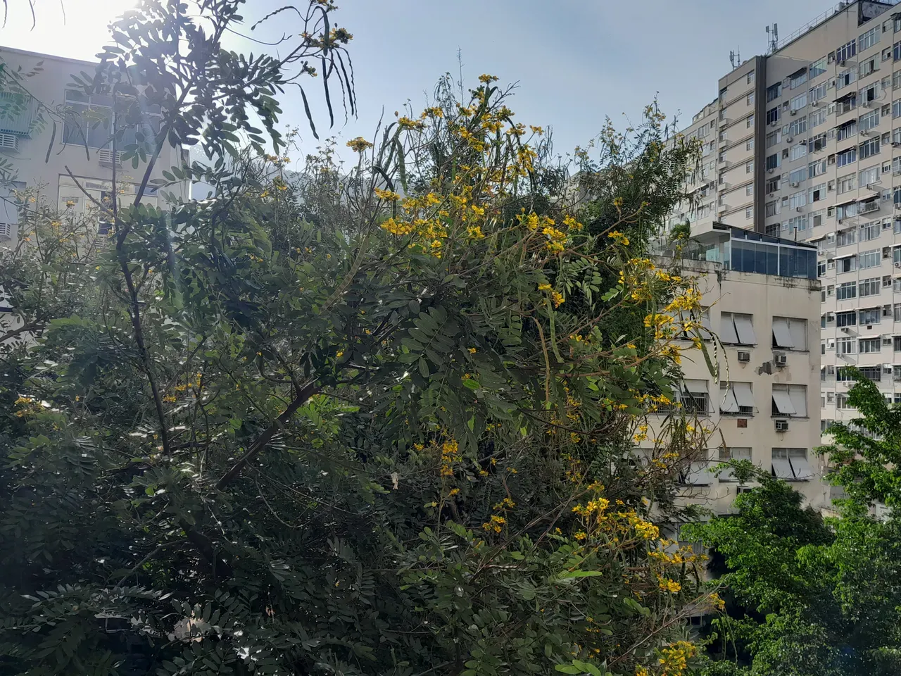 2-bedroom apartment with a park view — photo 28