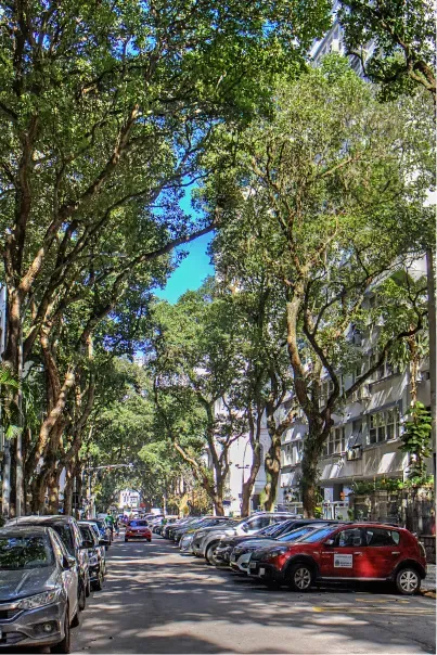 120 m² apartment with 3 bedrooms and 1 parking spot — photo 31